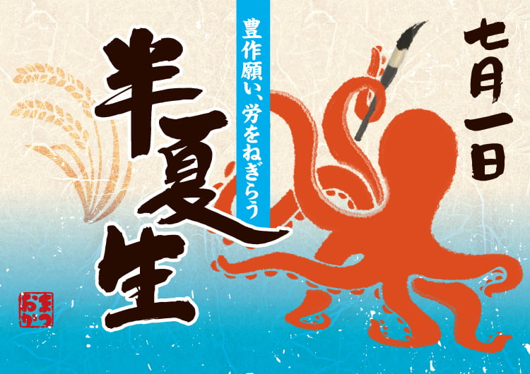 7月1日 半夏生